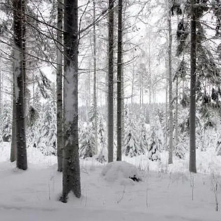 Metsaepirtti By Interhome * Patiala