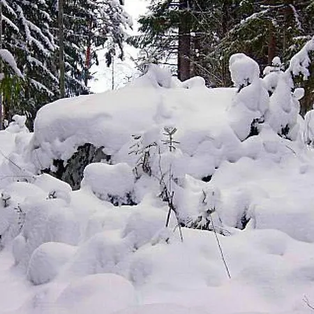 Metsaepirtti By Interhome 度假居 *