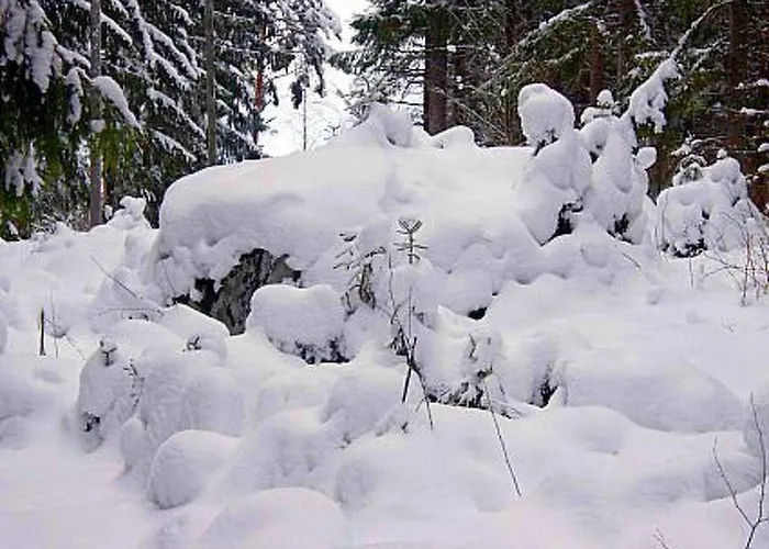 Metsaepirtti By Interhome *