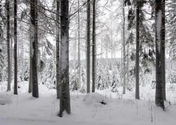 Сasa de vacaciones Metsaepirtti By Interhome Patiala