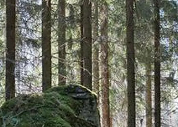 Metsaepirtti By Interhome Сasa de vacaciones *